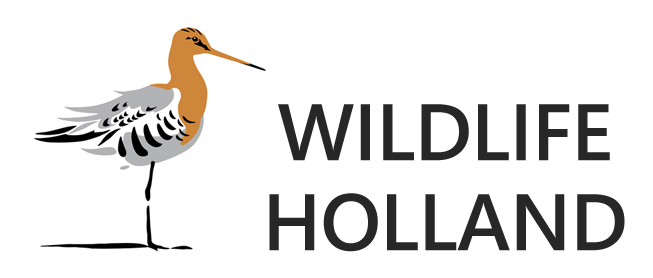Wildlife Holland